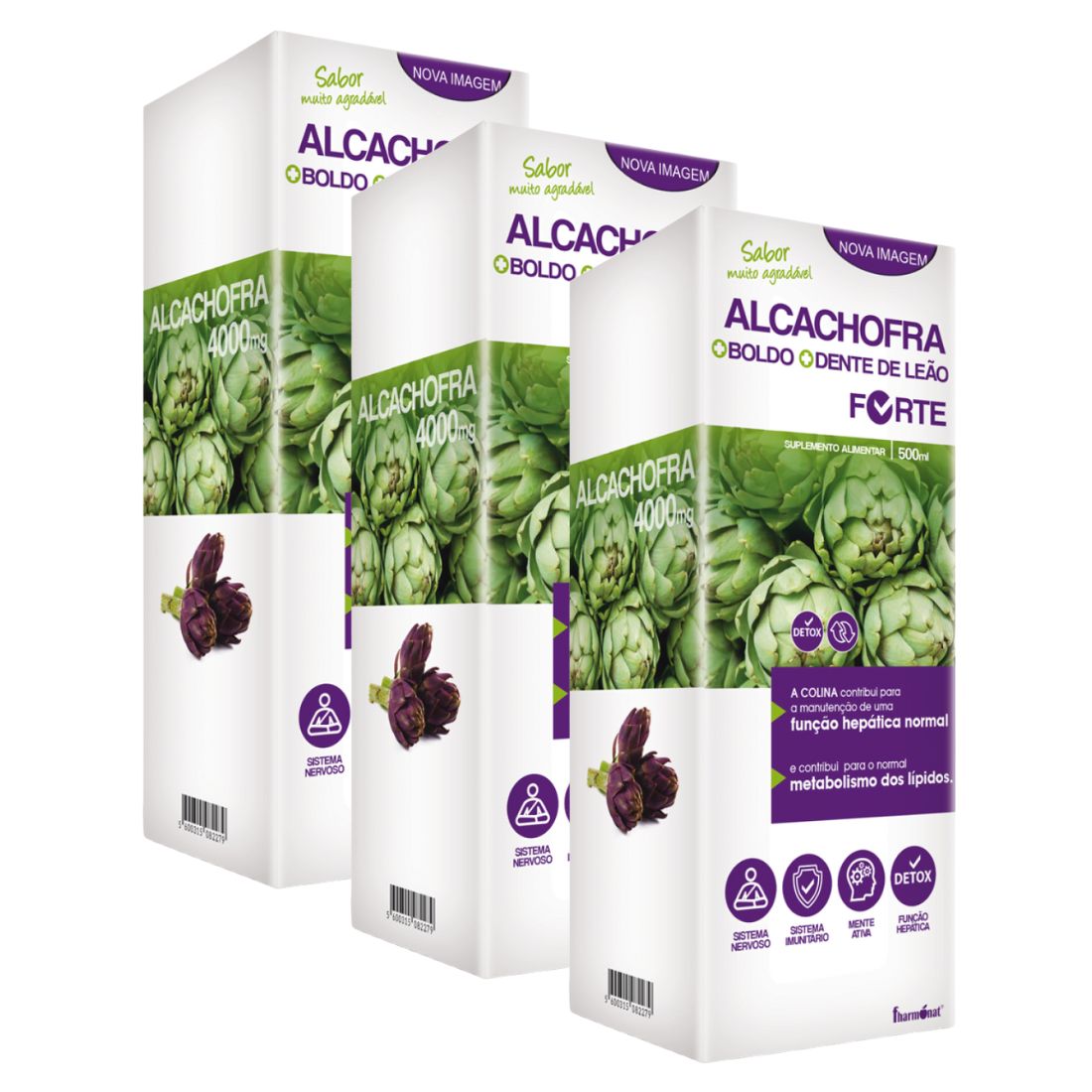 Alcachofra+boldo+denteleao_Leve3Pague2