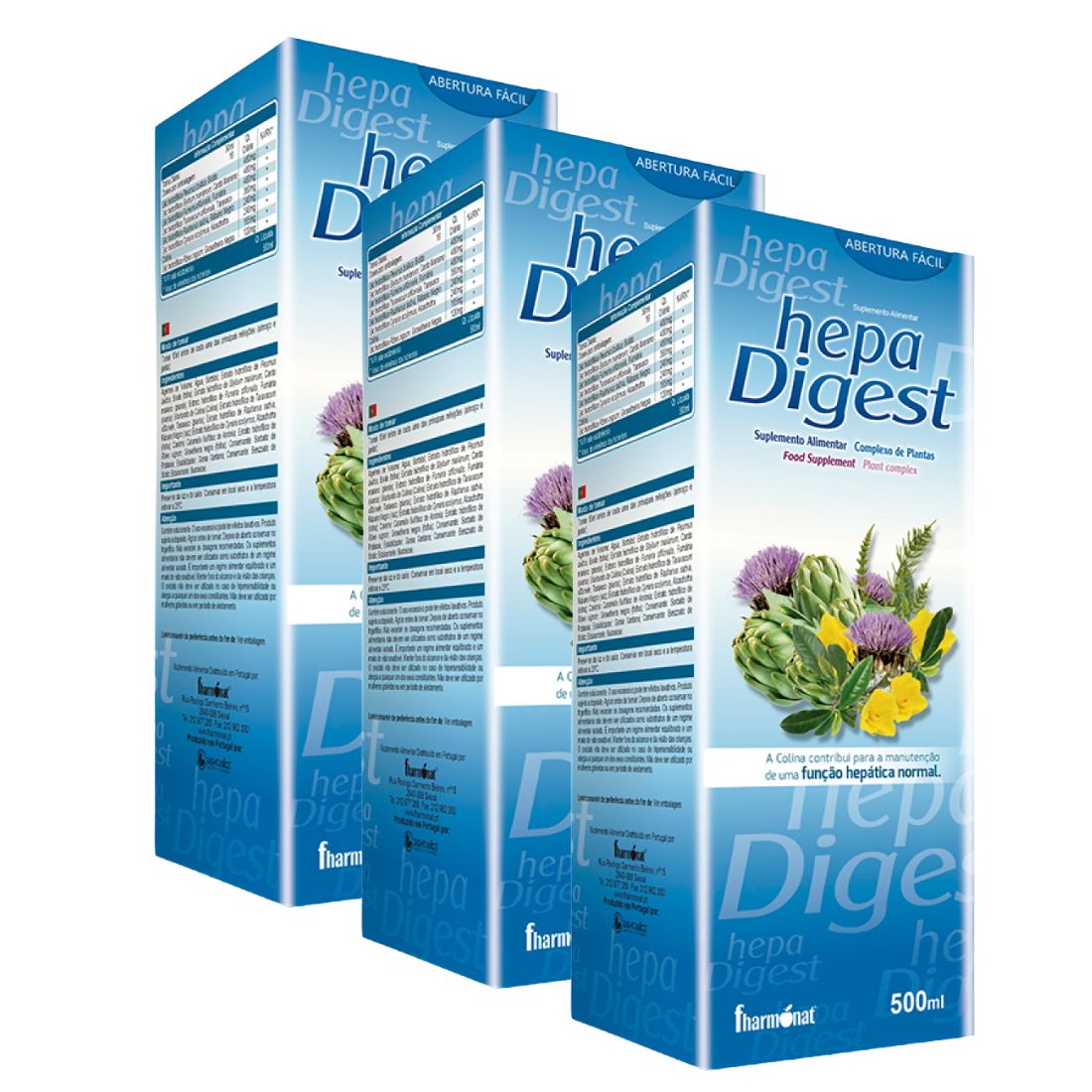 Hepa_digest_Leve3Pague2