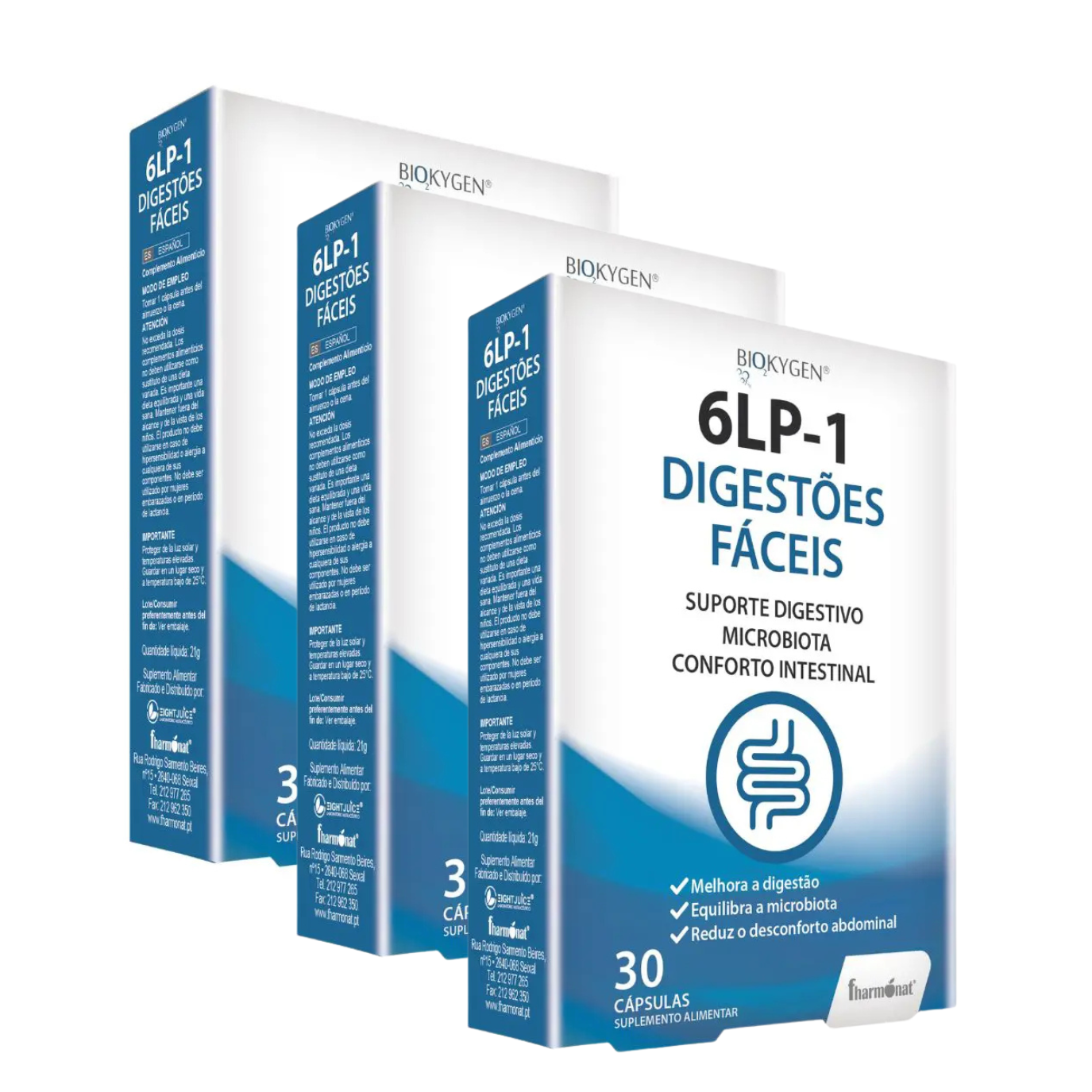 6LP-1Digestao_3unidades
